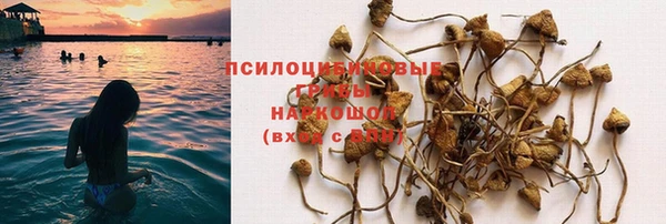 мдма Магас