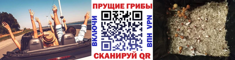 кракен как зайти  Гдов  Псилоцибиновые грибы ЛСД 
